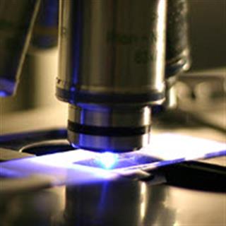 激光扫描共聚焦显微镜/双光子显微镜中的探测器