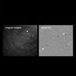 小鼠视网膜神经节细胞GCaMP钙离子成像