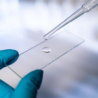 如何制作一张符合扫描要求的切片？