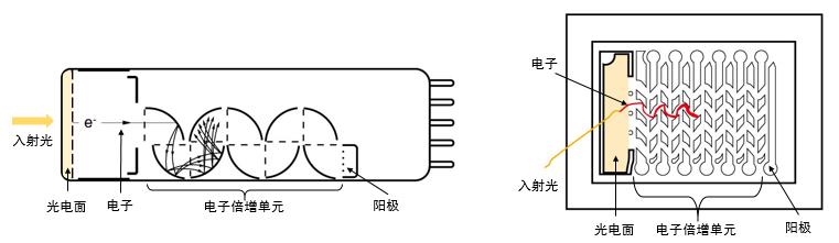 结构.jpg